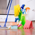 Thorough Cleaning in Croes-Hywel 4