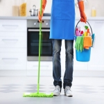 Residential Cleaners in Pentre-Piod 2