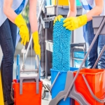 Residential Cleaners in New Town 12