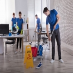Residential Cleaners in Grasswell 9