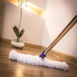 Residential Cleaners in Horsley Hill 2