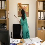 Sanitising Services 6