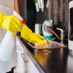 Residential Cleaners in Quarr Hill 6