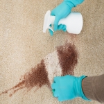 Residential Cleaners 1